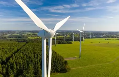 Analyzing the US Vegan Climate ETF: A Detailed Review of VEGN's Portfolio and Performance