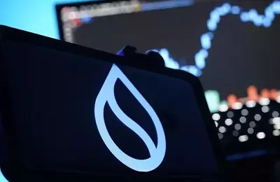 SUI Group Expands Bluefin Alliance with Additional SUI Loan