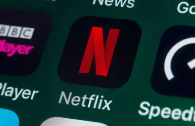 Netflix: Navigating Financial Engineering and Product Commoditization