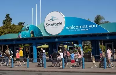 United Parks & Resorts: Navigating Challenges with Value and Growth Potential