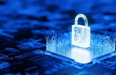 Cybersecurity Stocks Soar: Can Valuations Be Maintained?