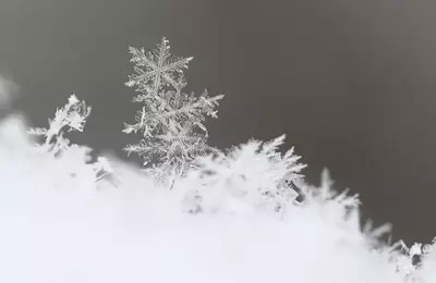 Snowflake's AI-Driven Surge: A Reevaluation of Investment Potential