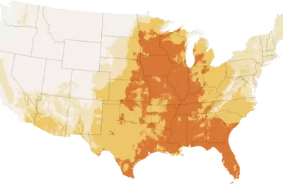 US Braces for Record-Breaking Heatwave Ahead of Holiday Weekend