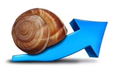Copart: A Strategic Turnaround with CEO's Return and Strong Financials