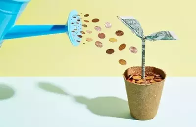 A Comparative Analysis of Growth-Oriented Closed-End Funds: ADX vs. ASG
