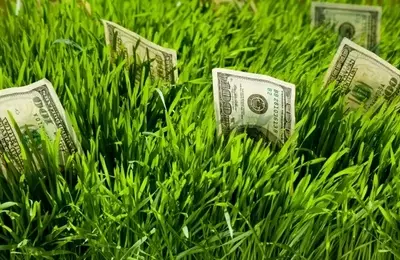 AI Investments: A Shifting Perspective on Business Lifecycle