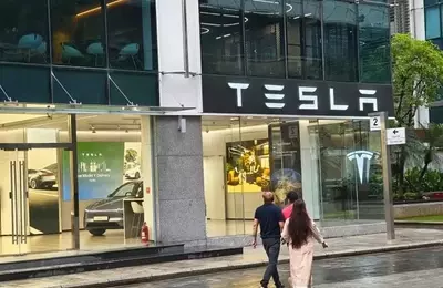 Tesla's Stock Plunge: A Wake-Up Call