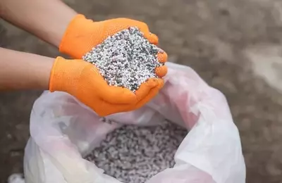 Fertilizer Sector Dynamics: The Mosaic Company's Resilience Amidst Market Shifts