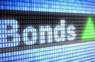 DoubleLine Yield Opportunities Fund: High Yield Potential with Risks