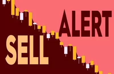 Ambarella Executive's Stock Sale: A Closer Look at Insider Activity and Market Performance