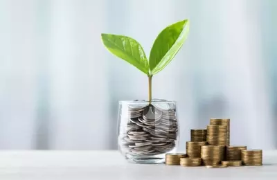 Crafting a Sustainable Dividend Income Strategy for Retirement