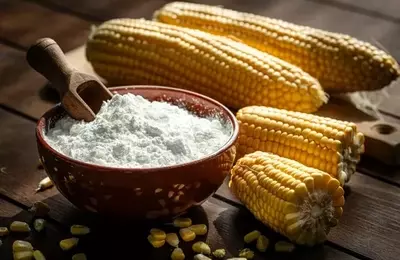 Teucrium Corn Fund ETF: An Overview for Investors