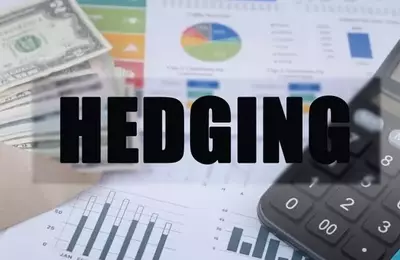 Agile Hedging Strategies Yield Positive Returns in Volatile Markets