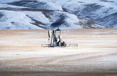 Canadian Natural Resources: A Resilient Dividend Powerhouse in a Dynamic Oil Market