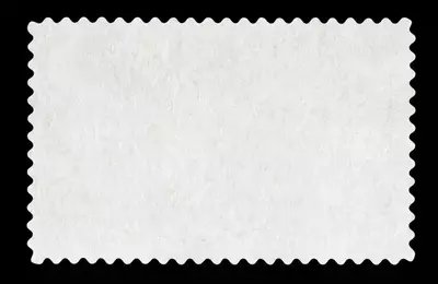 International Paper: Reassessing Investment Post-Sale and Price Target Adjustment