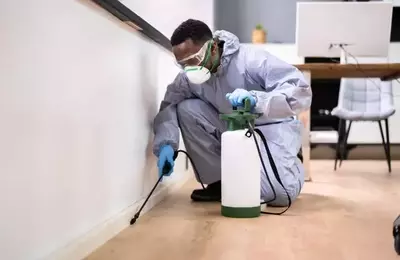 Navigating Investment in a Tech-Obsessed Market: A Pest Control Perspective