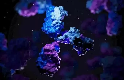 Xencor Shifts Towards In-House Pipeline with Promising Oncology and Autoimmune Programs