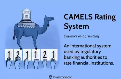 Understanding the CAMELS Rating System in Finance