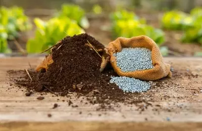 Mosaic Company's Promising Outlook Amidst Market Pessimism