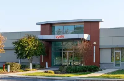 Zoetis: A Promising Investment in Animal Healthcare