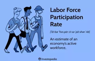 Understanding the Dynamics of Labor Force Participation