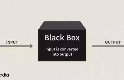 Understanding Black Box Models in Finance and Technology
