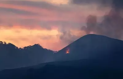 Hawaiian Electric: From Risk to Recovery