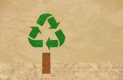 Waste Management: A Steady Performer in a Volatile Market