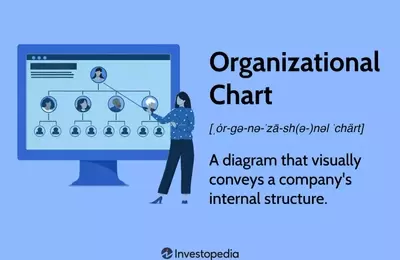 Understanding Organizational Charts: Structure, Types, and Importance