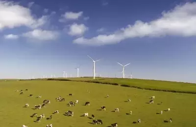 Clean Energy Fuels: High-Risk Investment Amidst Market Volatility