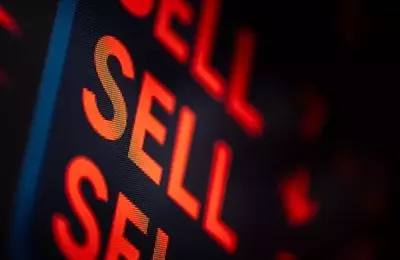 Three Stocks to Hold Indefinitely: A Long-Term Investment Philosophy