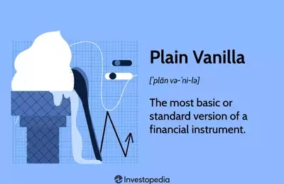 Understanding Plain Vanilla Financial Instruments