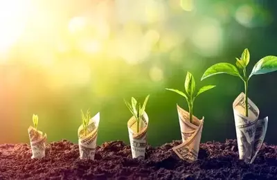 Investing in Undervalued Real Assets: A Strategic Approach