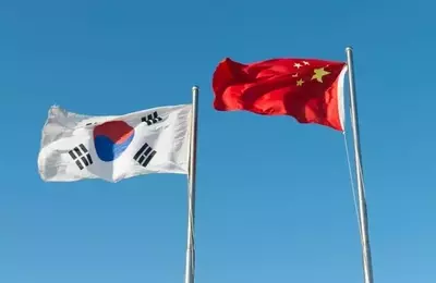 Dissecting Michael Burry's East Asian Market Outlook: A Contrarian View