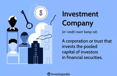 Understanding Investment Companies: Types, Functions, and Regulations