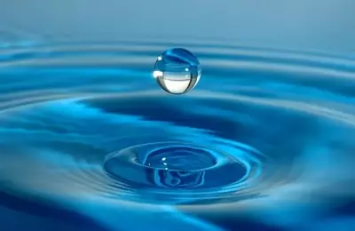 Navigating the Market: Is the AI Bubble a Myth?