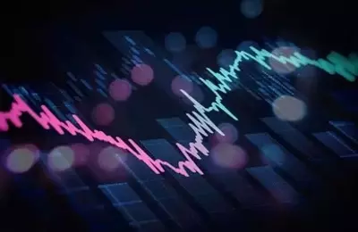 The Power of Diverse Perspectives in Investment Decisions
