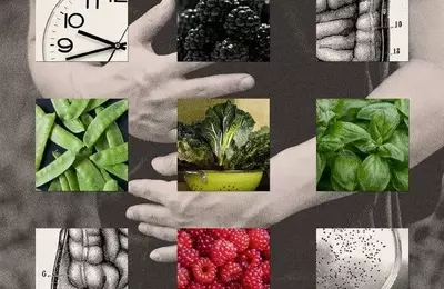 Cyclospora Outbreak: A Growing Public Health Concern