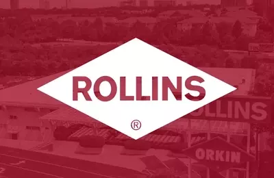 Rollins Stock Experiences Significant Drop Following Q2 Earnings Report