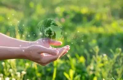 Navigating the Evolving Landscape of Corporate Sustainability