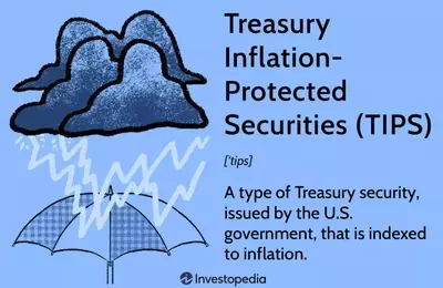 Understanding Treasury Inflation-Protected Securities (TIPS)