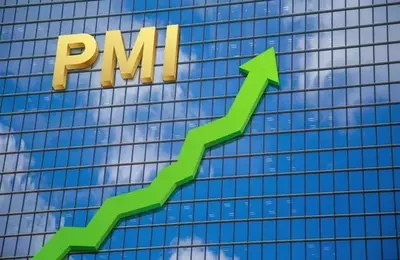 Global Economic Resilience: July PMI Surveys Indicate Stronger Growth Amid Geopolitical Tensions