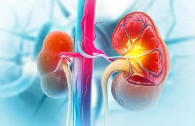 Eledon Pharmaceuticals: High Upside Potential in Tegoprubart Despite Single-Asset Risk