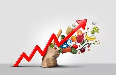 Navigating Inflation: A Deep Dive into Fidelity's FCPI ETF