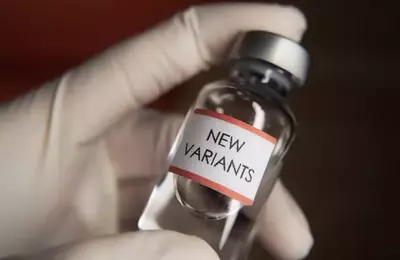 Novavax's Strategic Pivot: Undervalued Biopharma with High Growth Potential