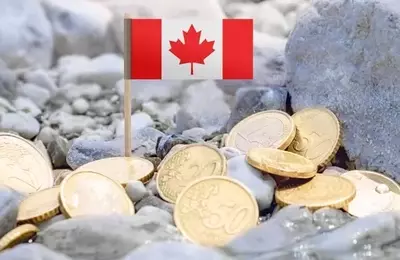 ClearBridge Canadian Small Cap Strategy's Q2 Performance Analysis