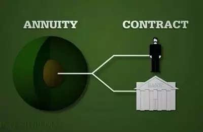 Understanding Annuity Surrender Periods and Fees