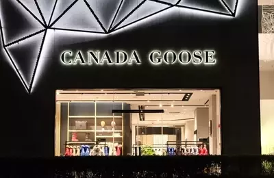 Canada Goose: Navigating Seasonal Shifts and Global Market Dynamics