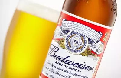 Anheuser-Busch InBev: A Closer Look at Recent Performance and Future Prospects