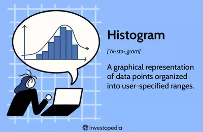 Understanding Histograms and Their Applications